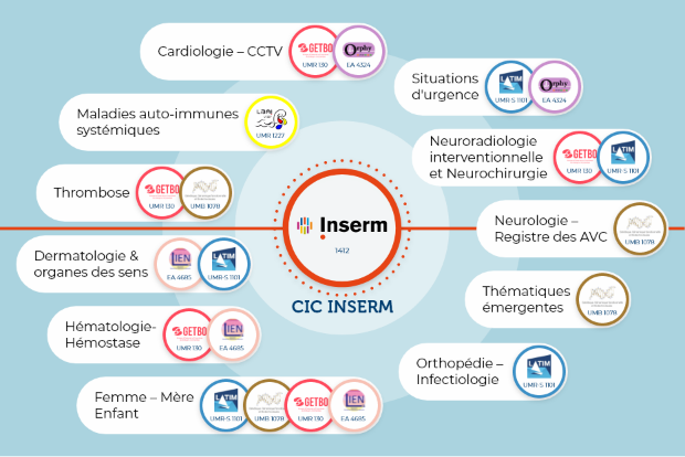 Organisation CIC CHU Brest